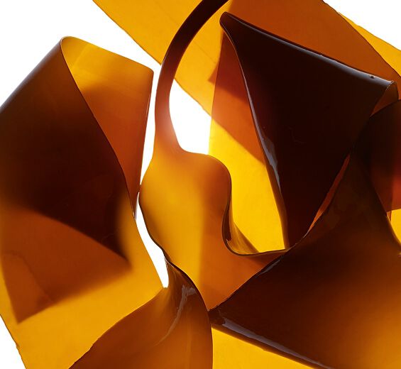 Laminaria -Laminaria-extract-Laminaria digitata extract