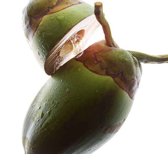 Kokosboom&nbsp;-Biologisch kokoswater-Cocos nucifera (coconut) fruit juice