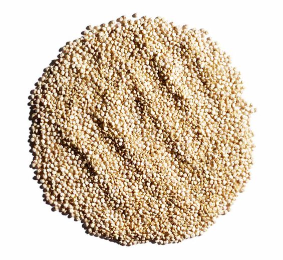 Quinoa -Extrait de quinoa bio-Chenopodium quinoa seed extract