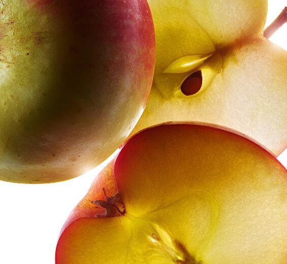 Appelboom-extract van biologische kleine appel-Malus Domestica Fruit Extract