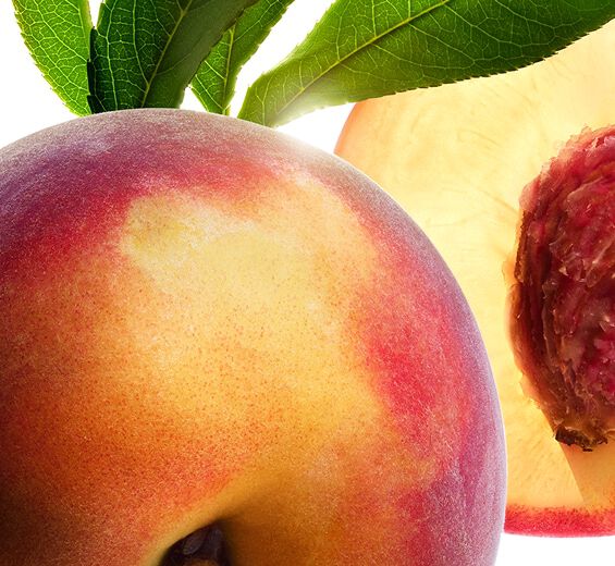 Perzikboom -Perzikboommelk-Prunus persica (peach) leaf extract