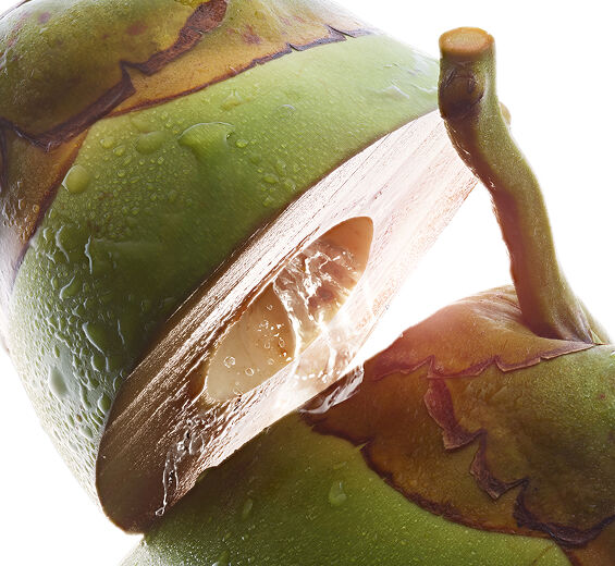 Cocotier&nbsp;-Eau de coco bio-Cocos nucifera (coconut) fruit juice