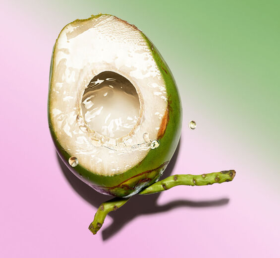 Kokosboom -Biologisch kokoswater-Cocos nucifera (coconut) fruit juice