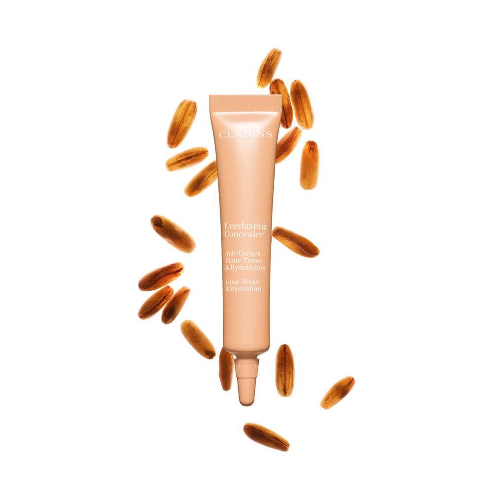 Everlasting Concealer
