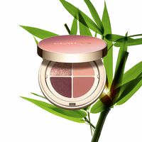 Fard à paupières Ombre 4 Couleurs