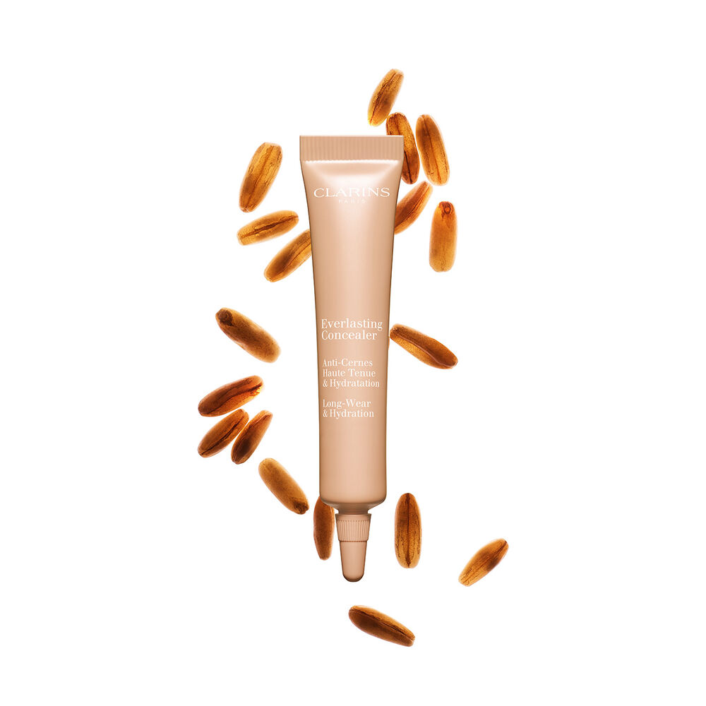 Everlasting Concealer