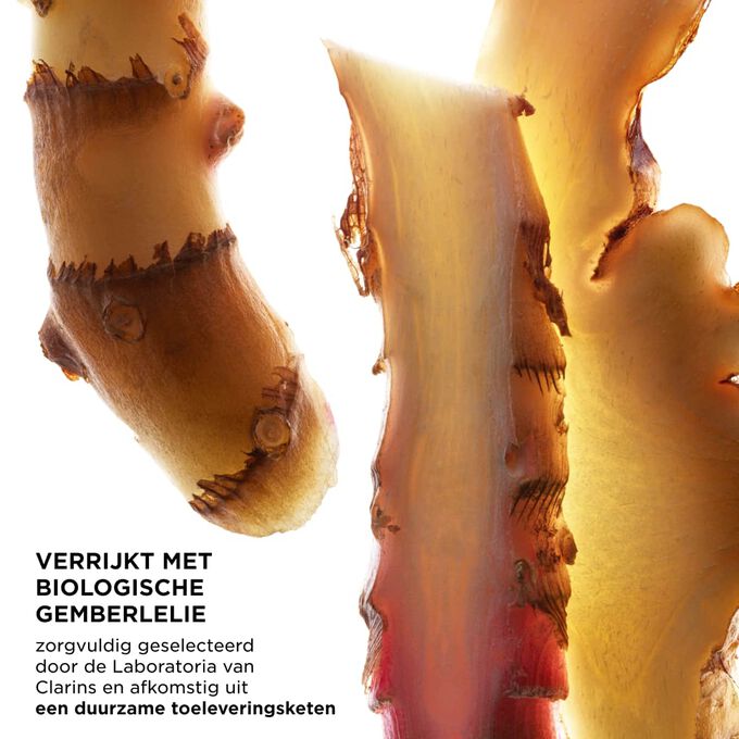 Focus op gemberplakjes, die de belangrijkste ingredi&euml;nten van UV Plus Skin Barrier SPF 50+ benadrukken, zorgvuldig geselecteerd door de Laboratoria van Clarins en van duurzame herkomst.