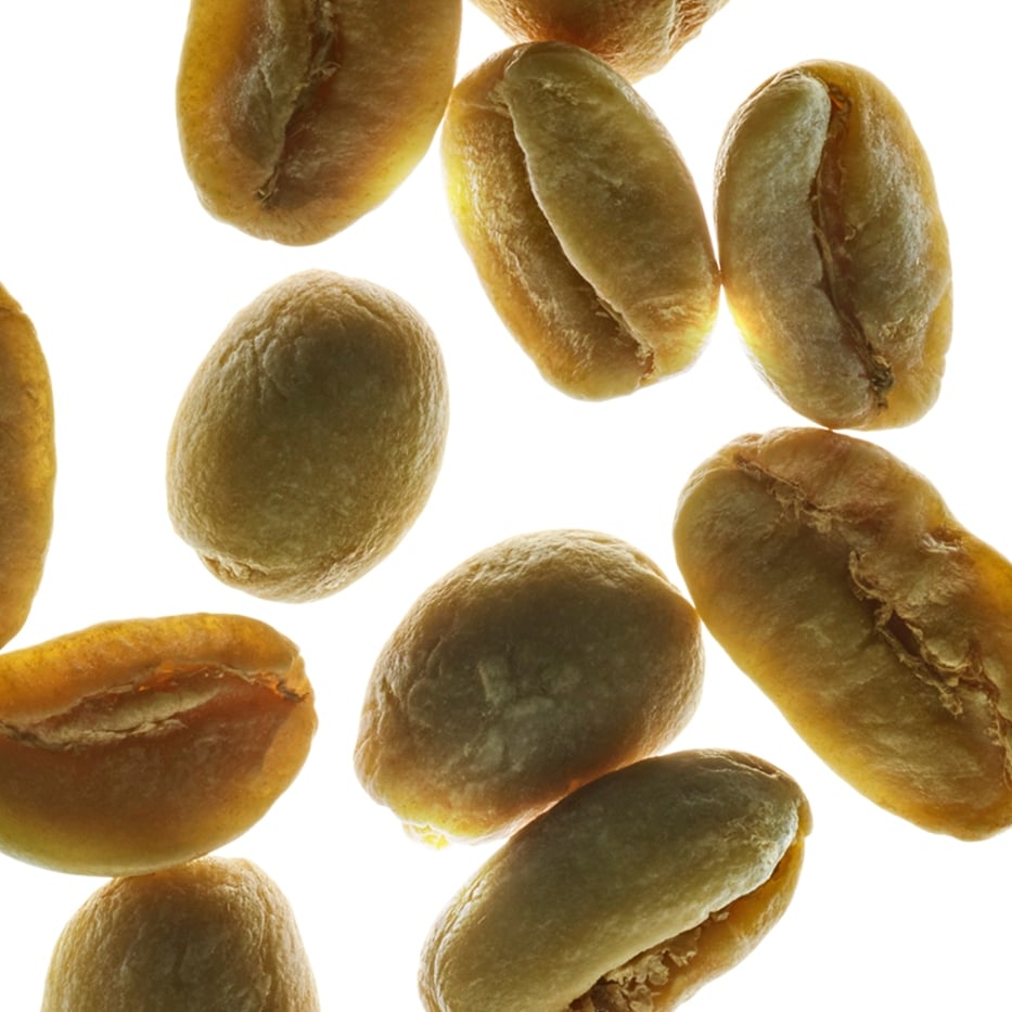 Coffea arabica-koffiestruik -Plantaardige cafeïne-Caffeine