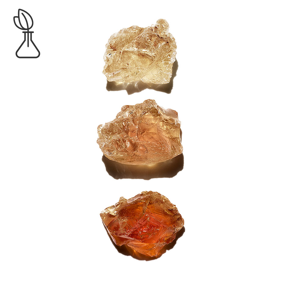 Acacia Sénégal -Micropatch vegetal-Acacia Senegal gum