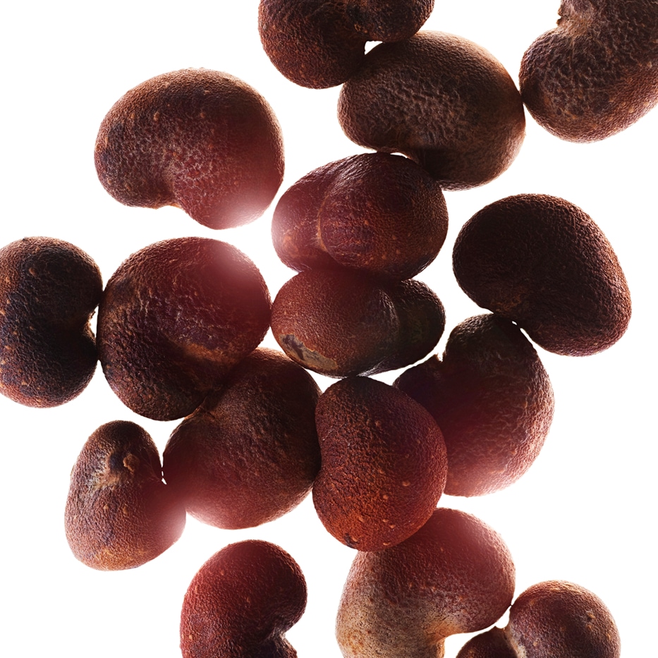 Baobab -Extrait de baobab-Hydrolyzed adansonia digitata extract