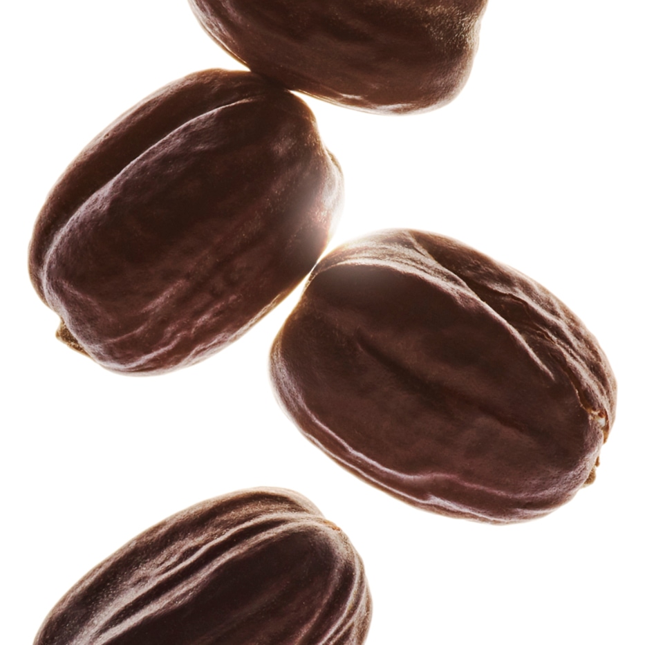 Jojoba&nbsp;-Biologische jojoba-olie-Simmondsia chinensis (jojoba) seed oil