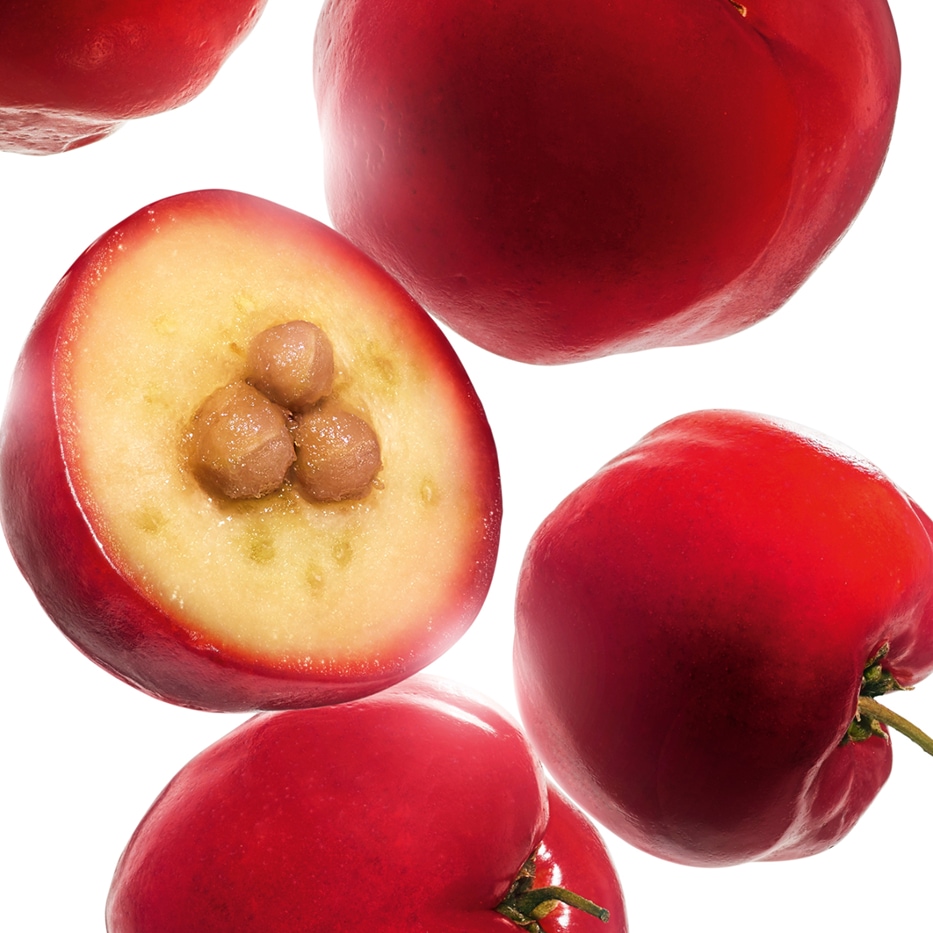 Acérola -Extrait d'acerola-Malpighia emarginata (acerola) fruit extract