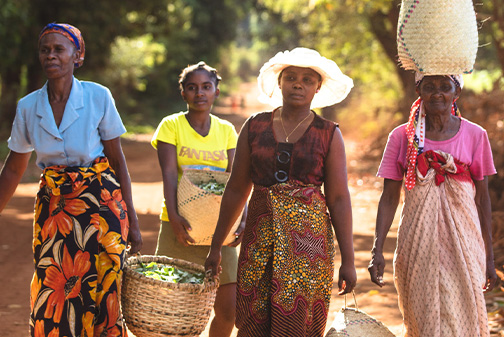 Femmes portant des sacs de plantes à Madagascar