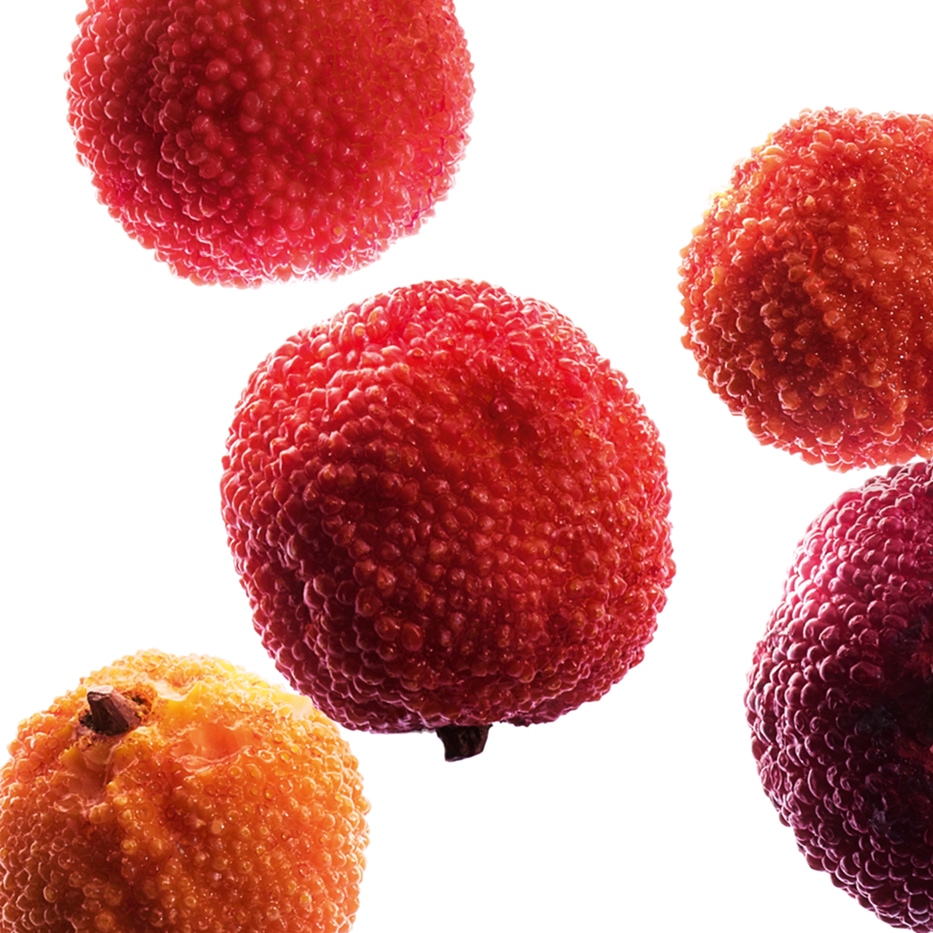 Arbousier -Extrait d’arbouse bio-Arbutus unedo fruit extract