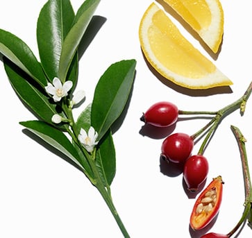 Afbeelding van ingrediënten en planten