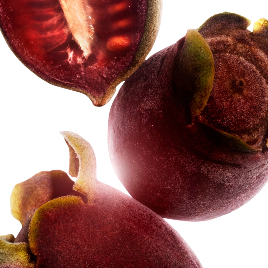 Rozenmirte&nbsp;-Rozenmirte-extract-Rhodomyrtus tomentosa fruit extract