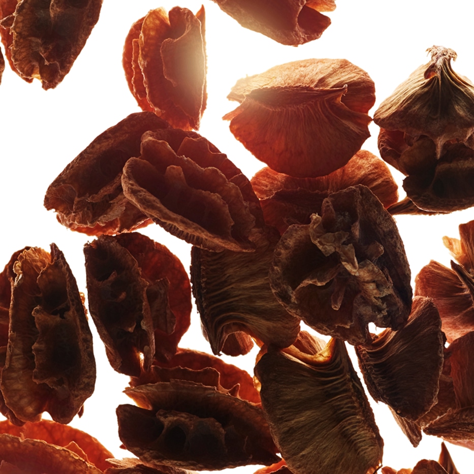 Acérola -Extrait de graine d’acérola-Malpighia emarginata (acerola) seed extract