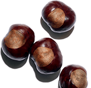 Horse chestnut escin