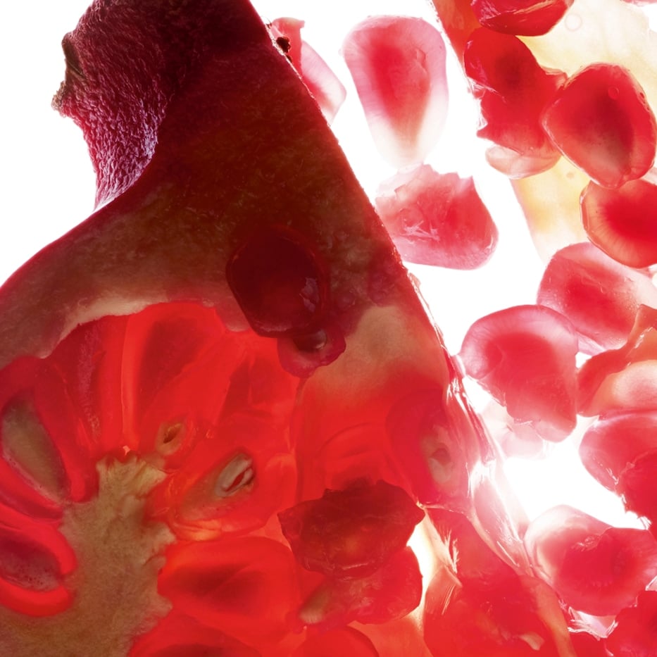 Granaatappelboom-Granaatappel-extract (biologische plant)-Punica granatum bark extract