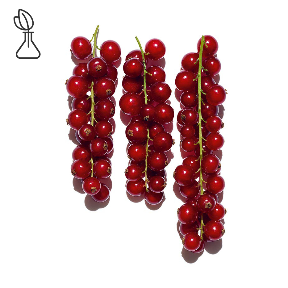 Rode bes&nbsp;-Biologisch rode bessenextract-Ribes rubrum (currant) fruit extract