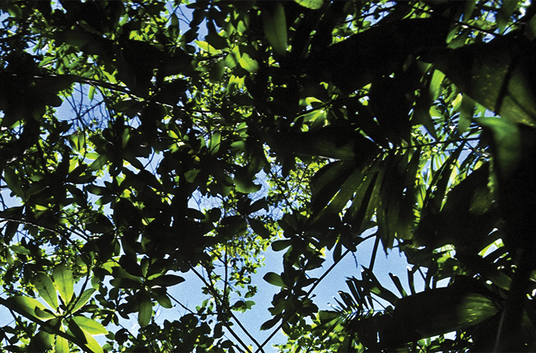 Een bron van voedingsstoffen