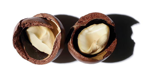 Een bron van voedingsstoffen