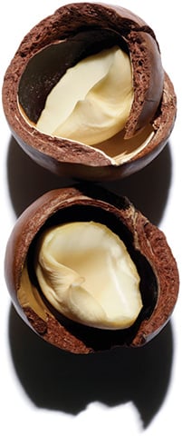 Een bron van voedingsstoffen